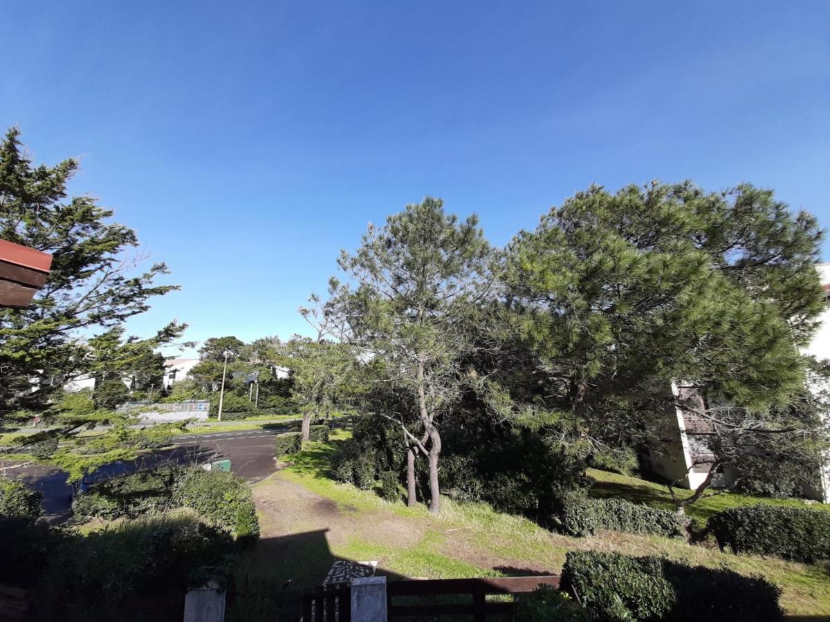 Maison Renovee Avec Terrasse A 700M Des Plages, Marche Et Activites - Tennis Et Piste Cyclable A 10M - Fr-1-239-385 Seignosse Dış mekan fotoğraf